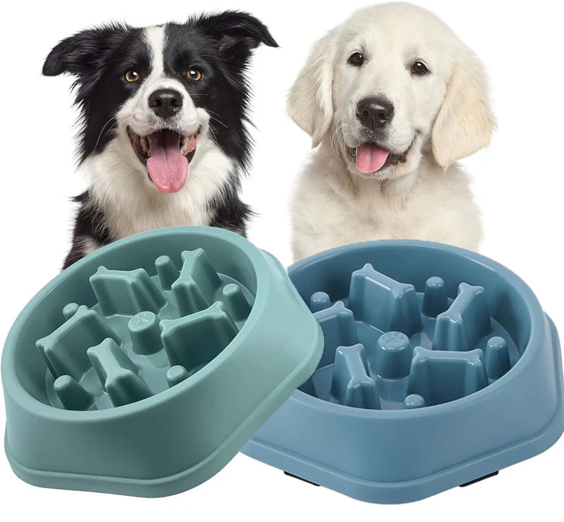 🐾 Slow-Feed Anti-Choking Dog Bowl  🐶🍽️