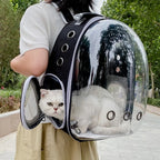 🐾 Crystal-Clear Pet Travel Backpack – Transparent Air-Flow Carrier 🎒✨