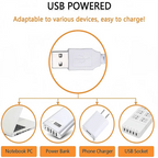 🎃 Neon LED Horror-Cute Wall Lights | Luminescent Wall Decorations 🦇✨