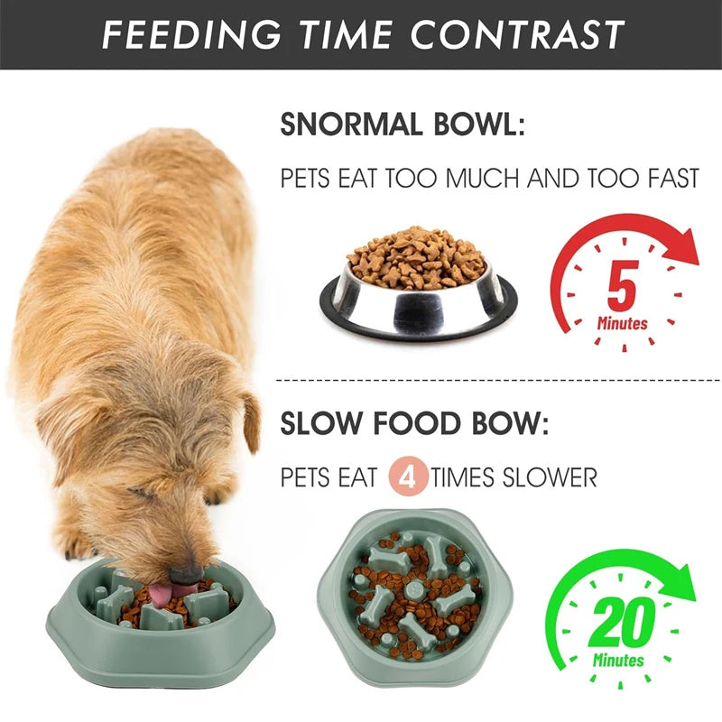 🐾 Slow-Feed Anti-Choking Dog Bowl  🐶🍽️