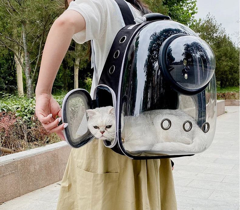 🐾 Crystal-Clear Pet Travel Backpack – Transparent Air-Flow Carrier 🎒✨