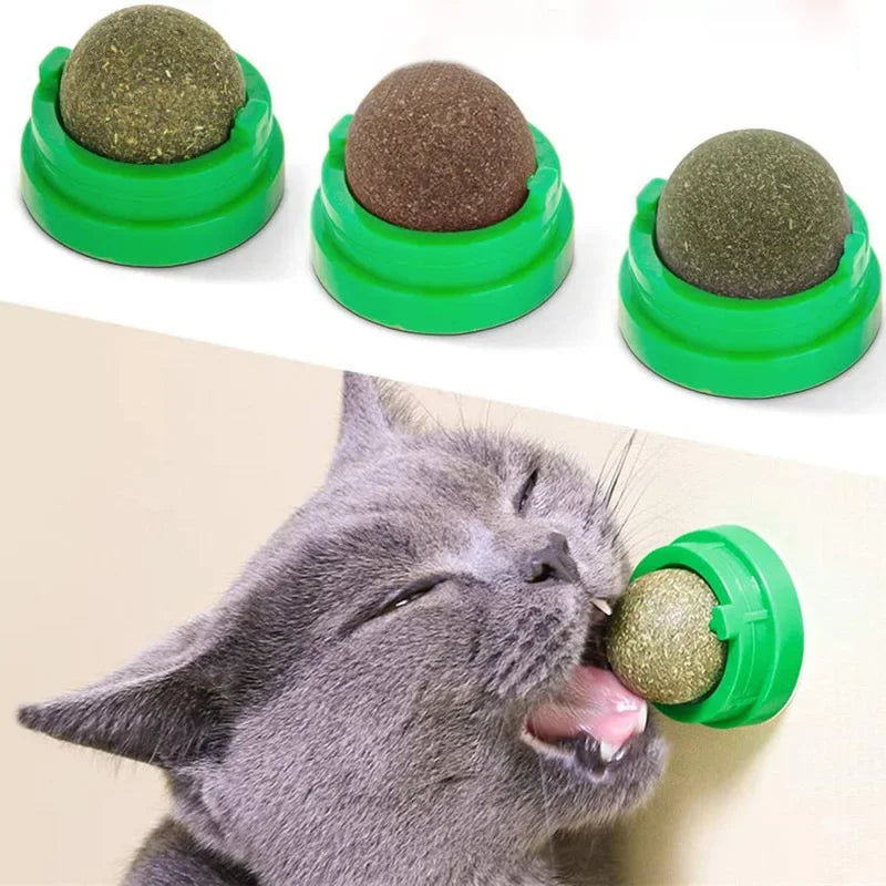 🐱✨ “Wall-Mounted Catnip Snack Ball – Natural Digestive Aid Toy”