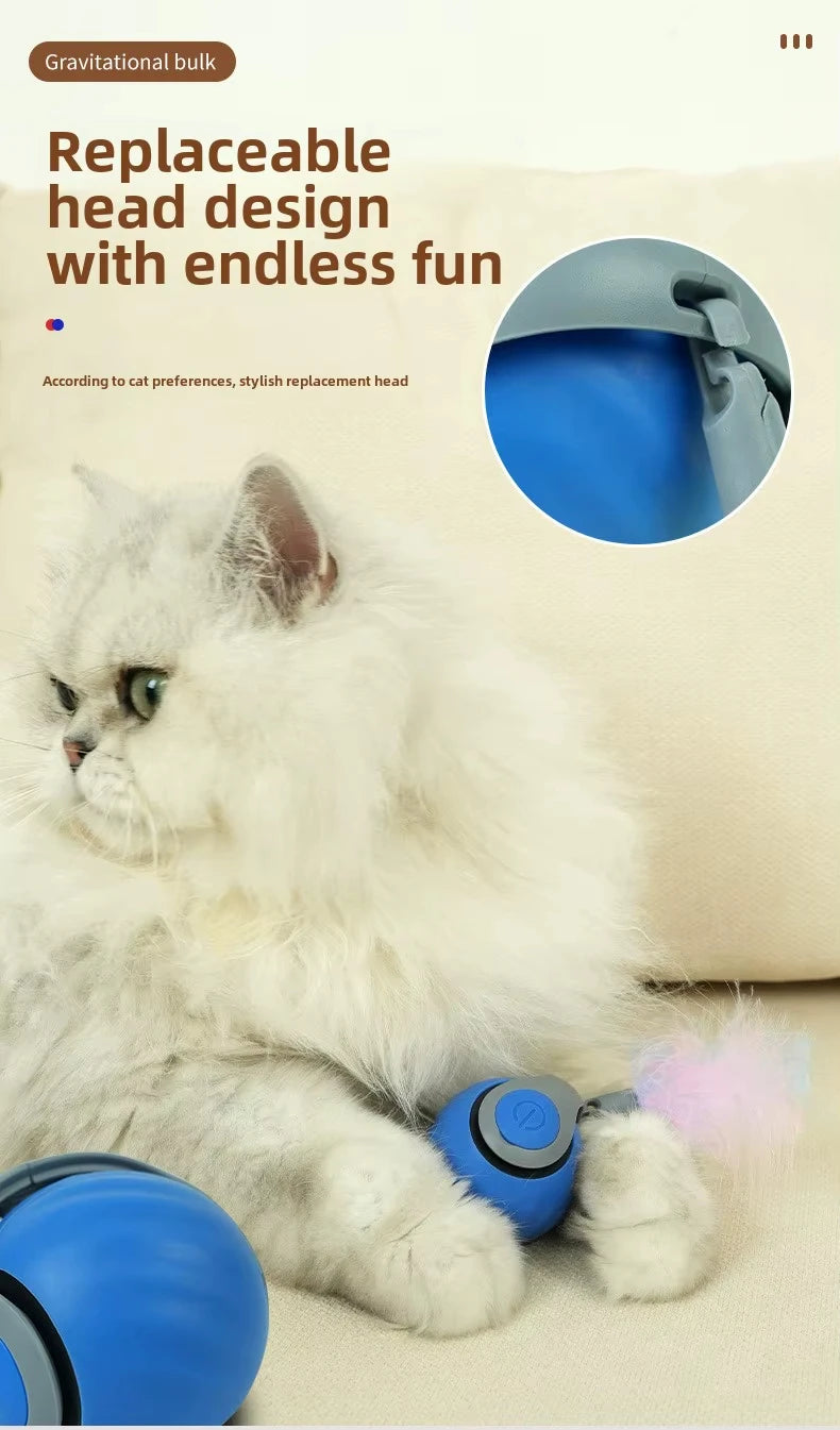 🐾 New Speedy Tail 2.0 Interactive Cat Toy – Smart Rolling Ball with Adjustable Speeds 🐾
