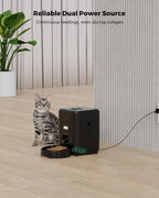 Automatic Pet Feeder | Standard & Wi-Fi Version 📱🐶🐱
