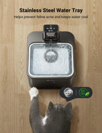 2.5L Automatic Water Dispenser for Cats and Dogs - Wireless, Smart Sensor, Ultra Silent 🐱💧