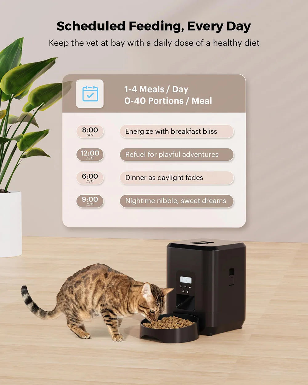 Automatic Pet Feeder | Standard & Wi-Fi Version 📱🐶🐱