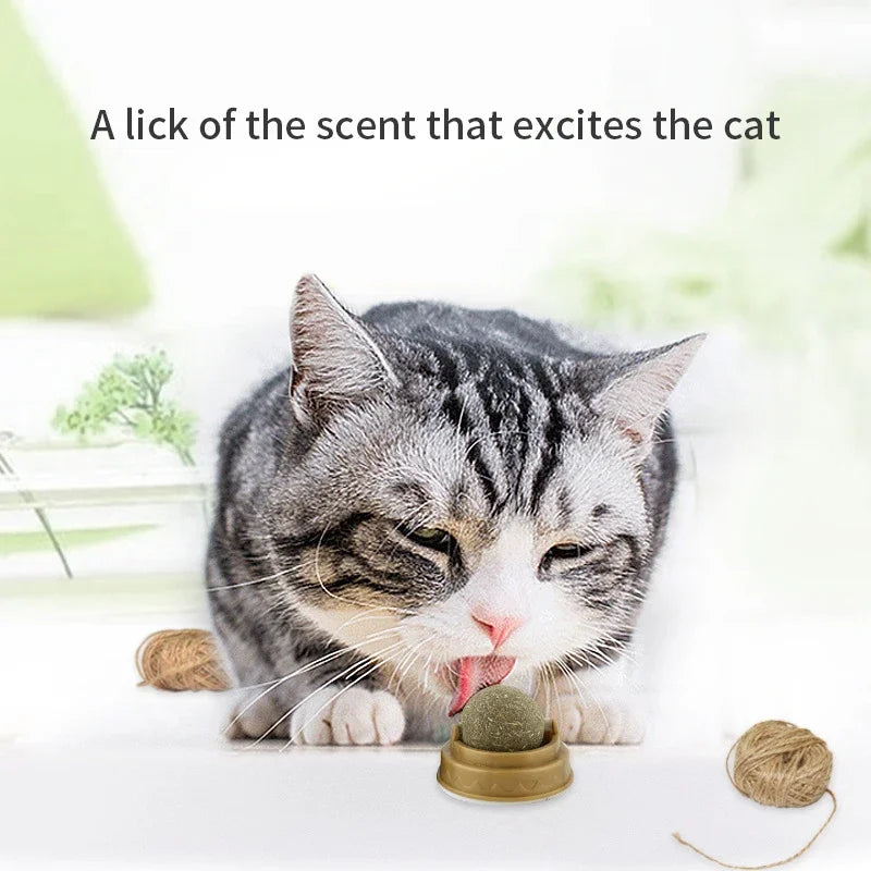 🐱✨ “Wall-Mounted Catnip Snack Ball – Natural Digestive Aid Toy”