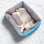Soft Kennet for Dogs and Cats - Cosy Bed in Various Colours and Sizes 🐶🐱