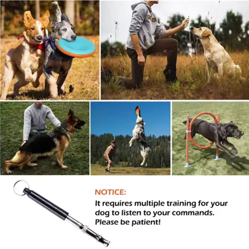 🐶 Ultrasonic Dog Training Whistle – Recall & Obedience Tool 🔊✨