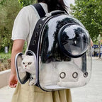 🐾 Crystal-Clear Pet Travel Backpack – Transparent Air-Flow Carrier 🎒✨