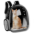 🐾 Crystal-Clear Pet Travel Backpack – Transparent Air-Flow Carrier 🎒✨