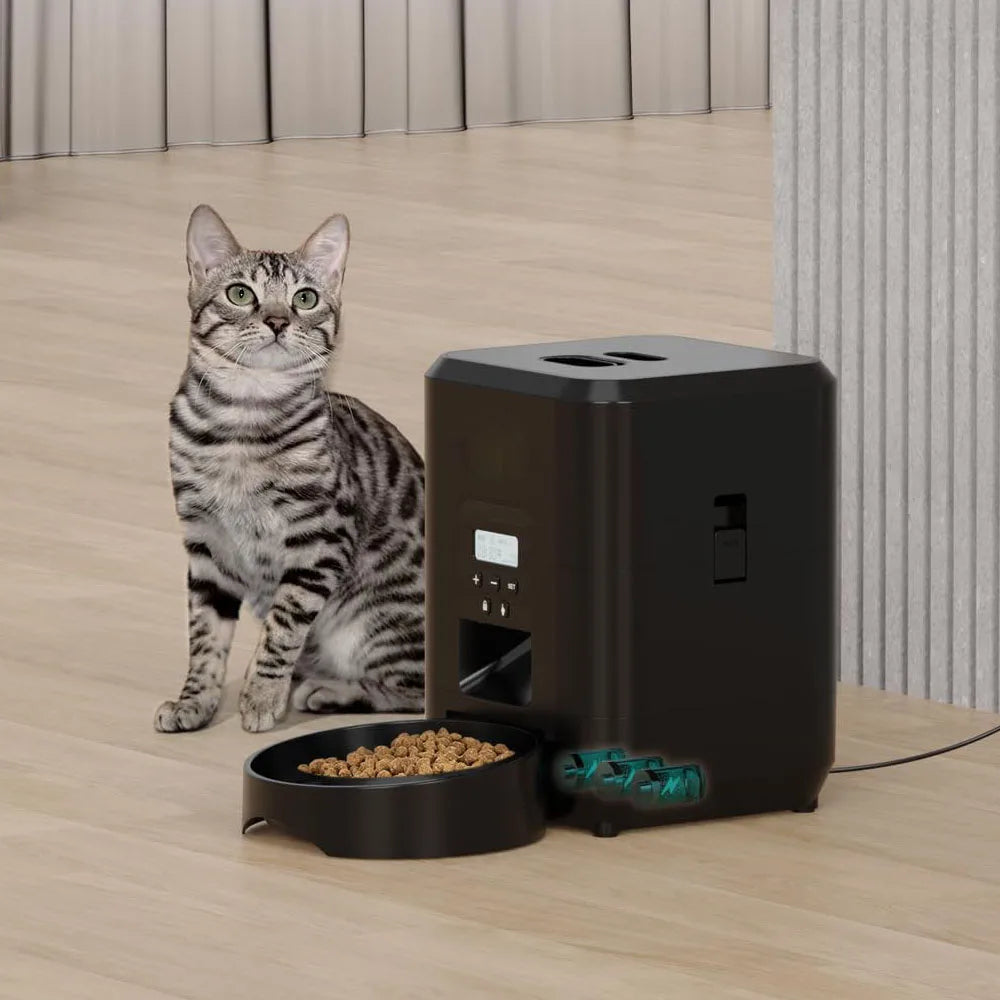 Automatic Pet Feeder | Standard & Wi-Fi Version 📱🐶🐱