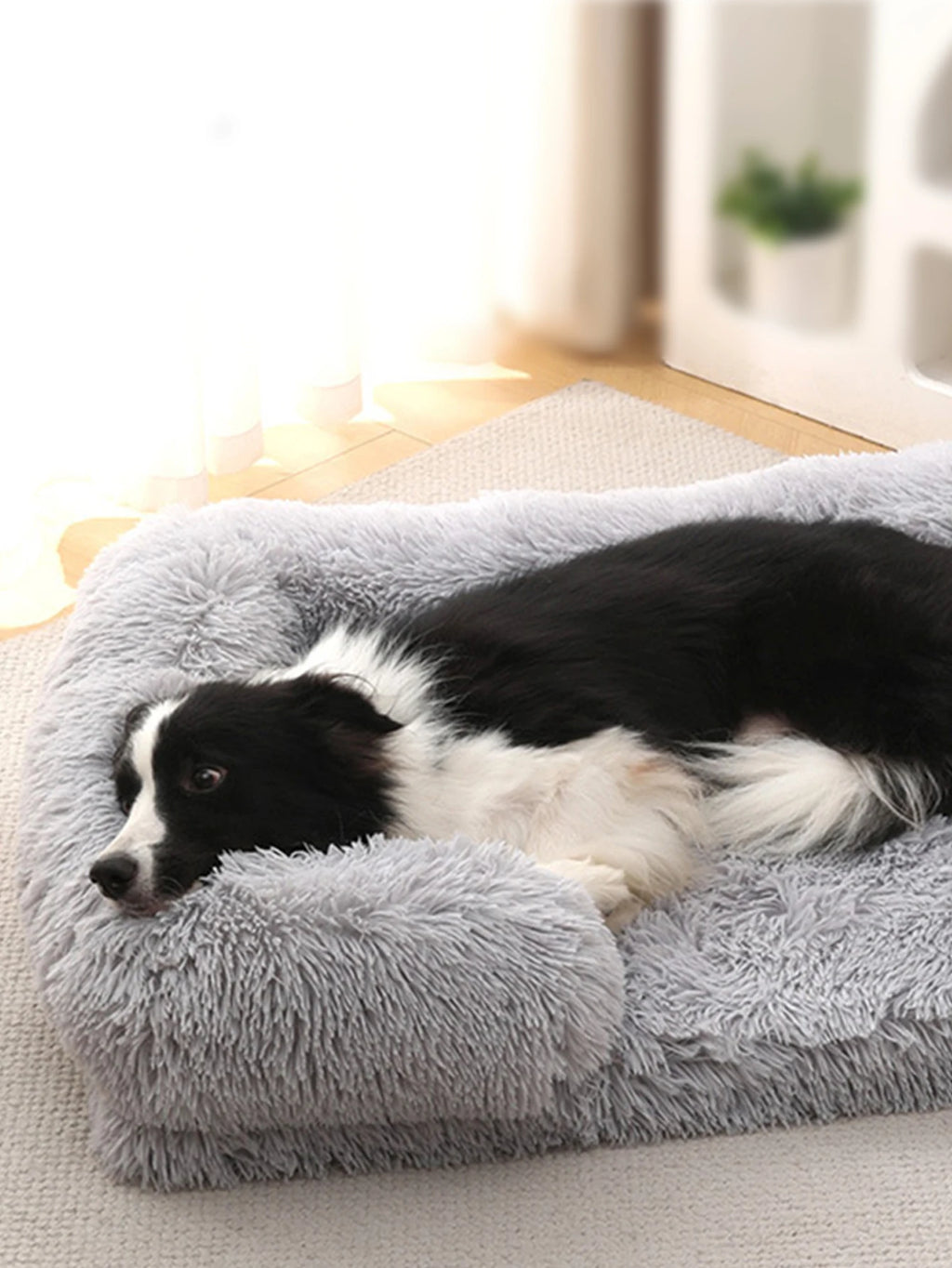Soft Square Kennet for Dogs and Cats - Plush Bed with Removable Cushion 🐾✨