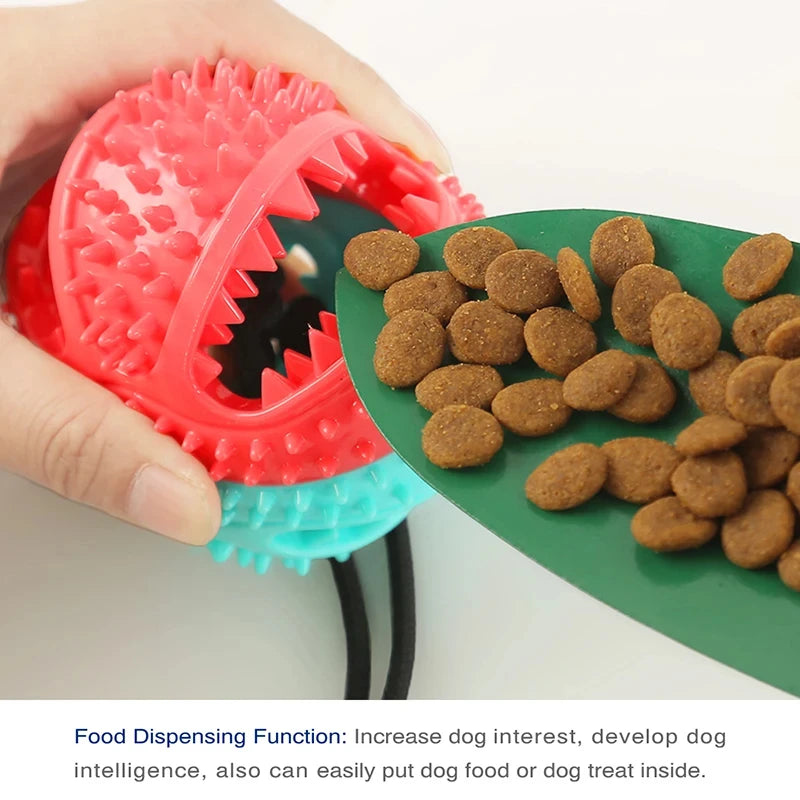🐾 Interactive Suction-Cup Dog Toy Ball — Slow Feeder & Tug Game 🐶