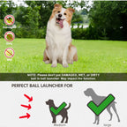 🎾 Automatic Dog Tennis Ball Launcher – Fun Fetch Training Machine