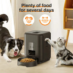 Automatic Pet Feeder | Standard & Wi-Fi Version 📱🐶🐱
