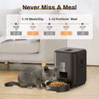 Automatic Pet Feeder | Standard & Wi-Fi Version 📱🐶🐱