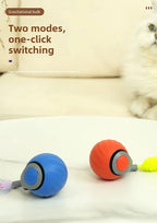 🐾 New Speedy Tail 2.0 Interactive Cat Toy – Smart Rolling Ball with Adjustable Speeds 🐾