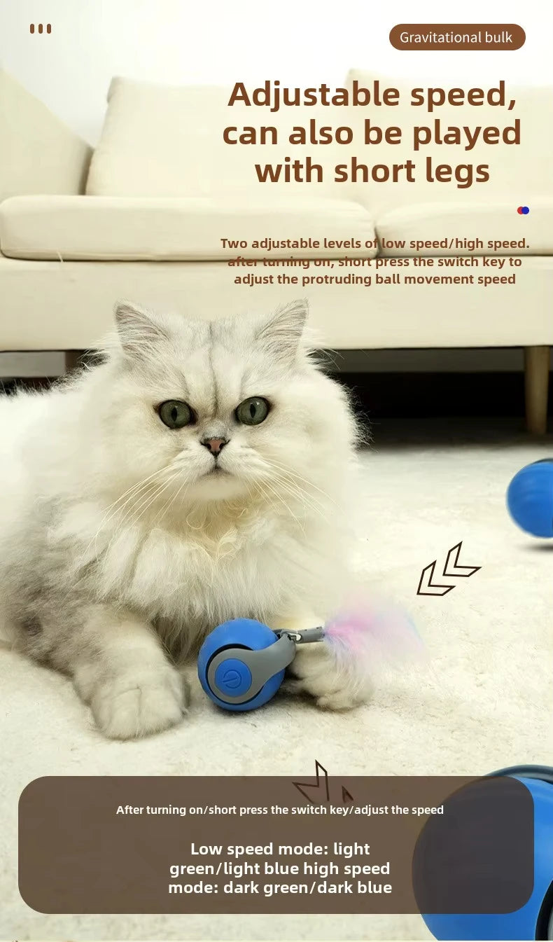 🐾 New Speedy Tail 2.0 Interactive Cat Toy – Smart Rolling Ball with Adjustable Speeds 🐾