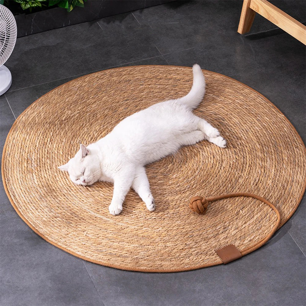 🐱 Scratch & Play Round Cat Mat — Natural Sisal Fun Pad