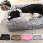 Soft Square Kennet for Dogs and Cats - Plush Bed with Removable Cushion 🐾✨