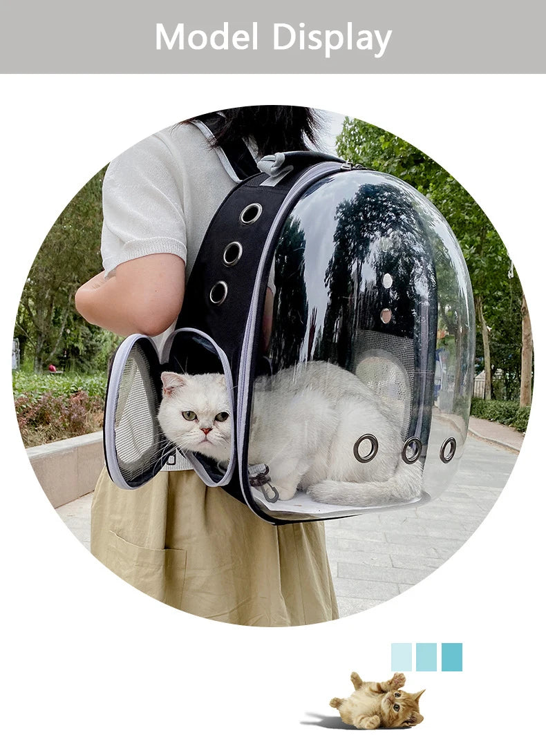 🐾 Crystal-Clear Pet Travel Backpack – Transparent Air-Flow Carrier 🎒✨
