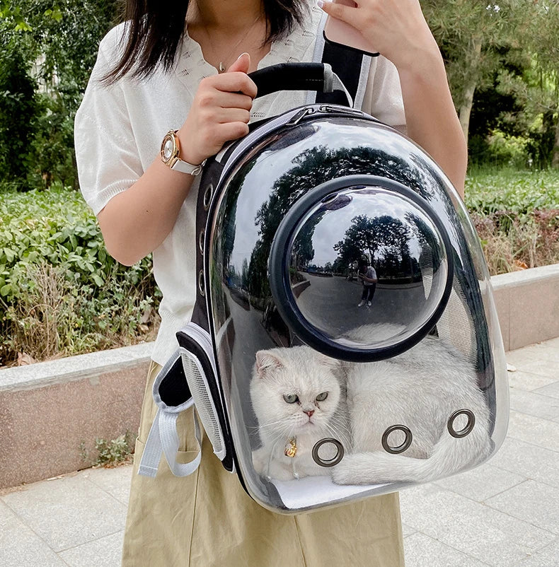 🐾 Crystal-Clear Pet Travel Backpack – Transparent Air-Flow Carrier 🎒✨
