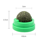 🐱✨ “Wall-Mounted Catnip Snack Ball – Natural Digestive Aid Toy”