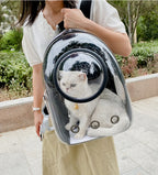 🐾 Crystal-Clear Pet Travel Backpack – Transparent Air-Flow Carrier 🎒✨