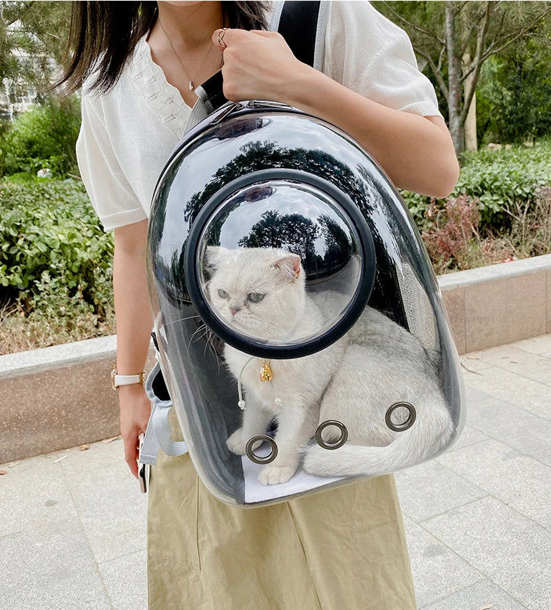 🐾 Crystal-Clear Pet Travel Backpack – Transparent Air-Flow Carrier 🎒✨
