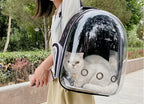 🐾 Crystal-Clear Pet Travel Backpack – Transparent Air-Flow Carrier 🎒✨