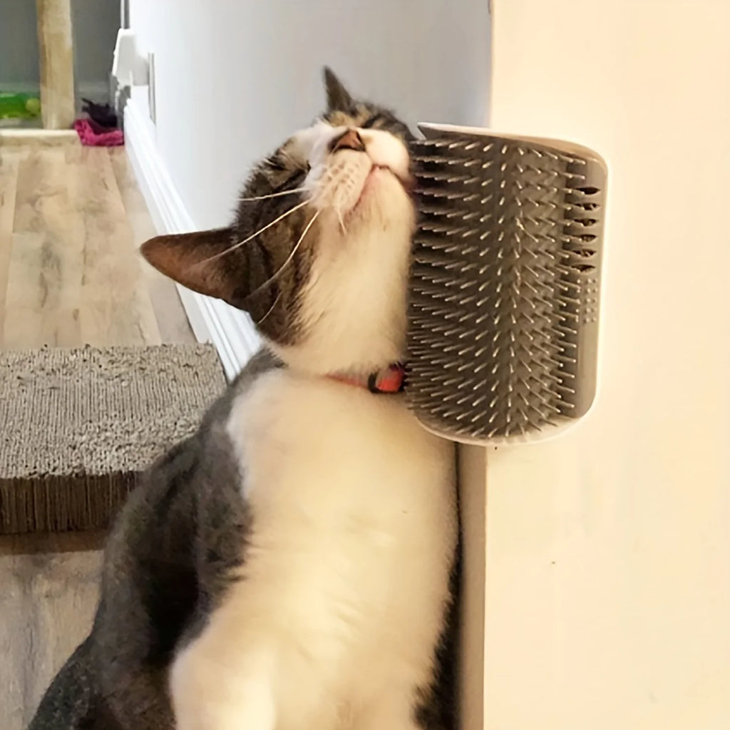 Corner Cat Self-Grooming Brush – Wall-Mounted Massage Comb 🐱✨