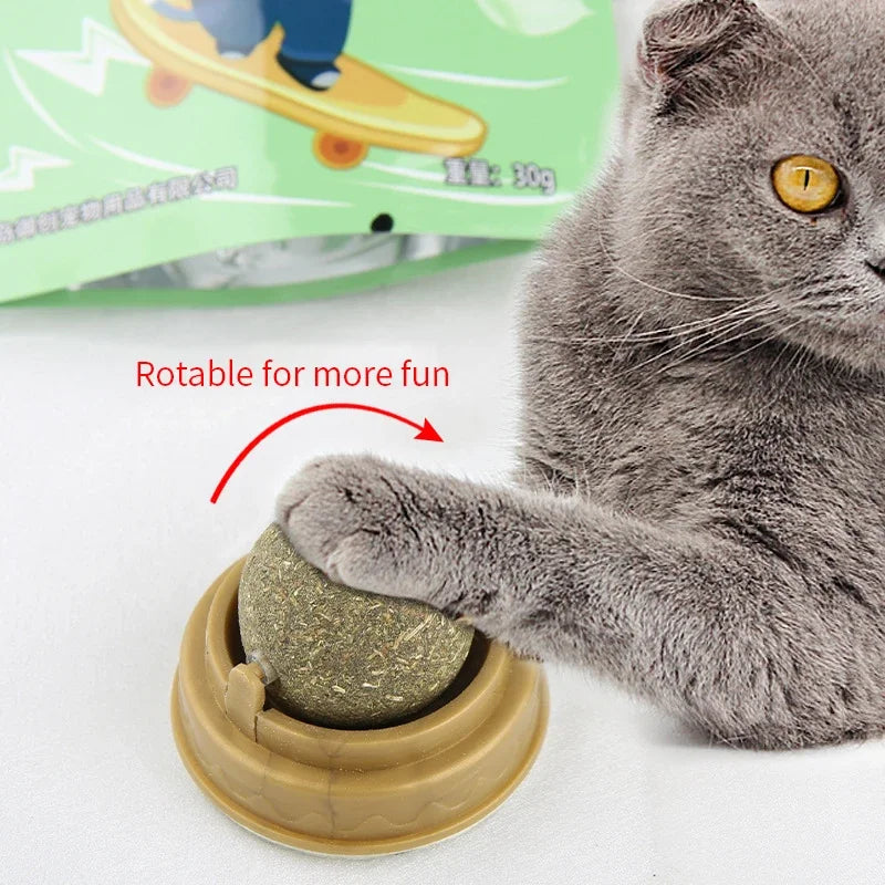 🐱✨ “Wall-Mounted Catnip Snack Ball – Natural Digestive Aid Toy”