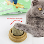 🐱✨ “Wall-Mounted Catnip Snack Ball – Natural Digestive Aid Toy”
