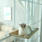 🐾 Cat Window Bed with Suction Cups – Floating Cozy Hammock 🪟🐱