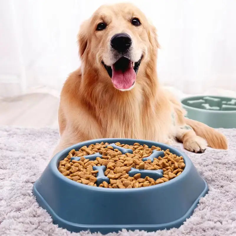 🐾 Slow-Feed Anti-Choking Dog Bowl  🐶🍽️