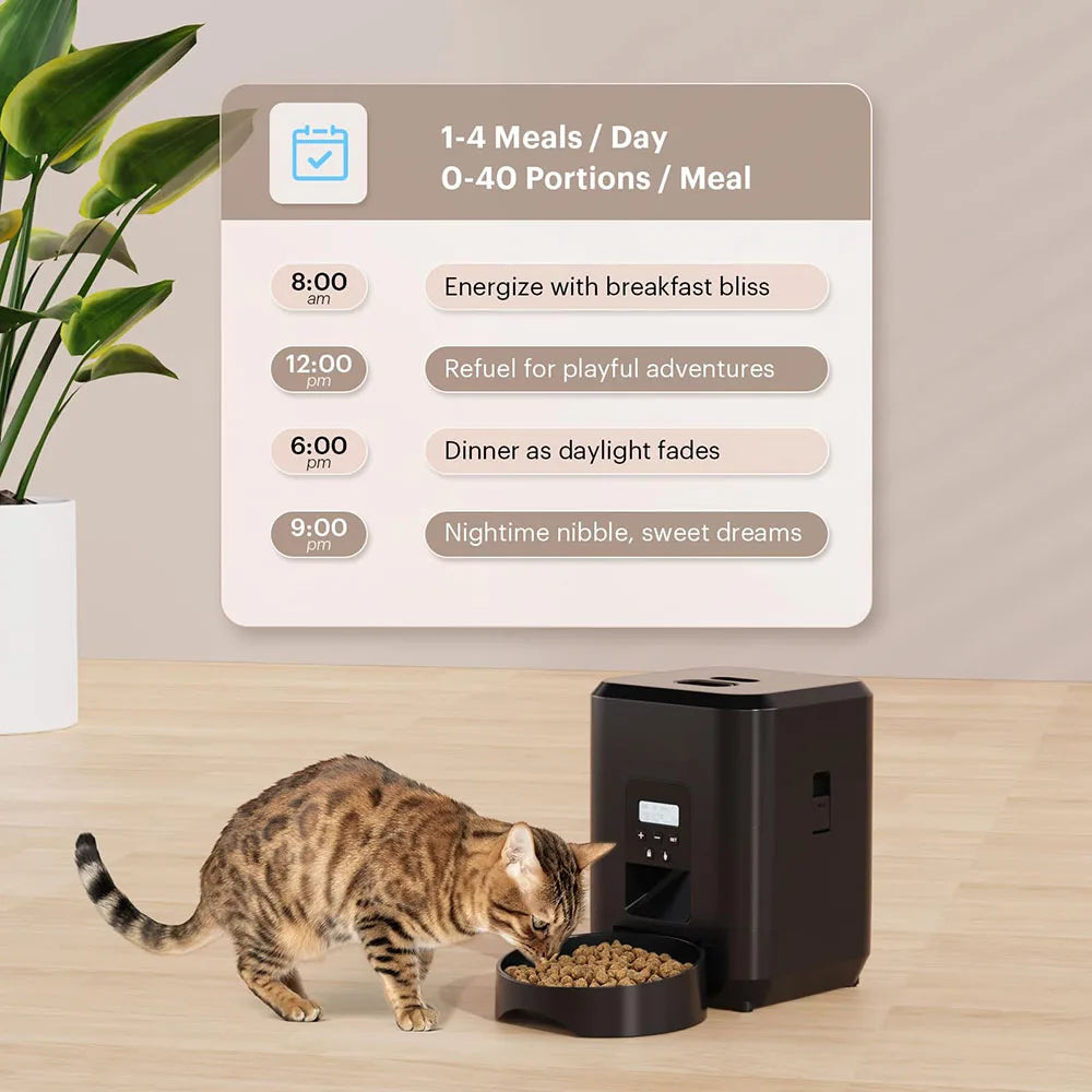 Automatic Pet Feeder | Standard & Wi-Fi Version 📱🐶🐱