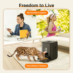 Automatic Pet Feeder | Standard & Wi-Fi Version 📱🐶🐱