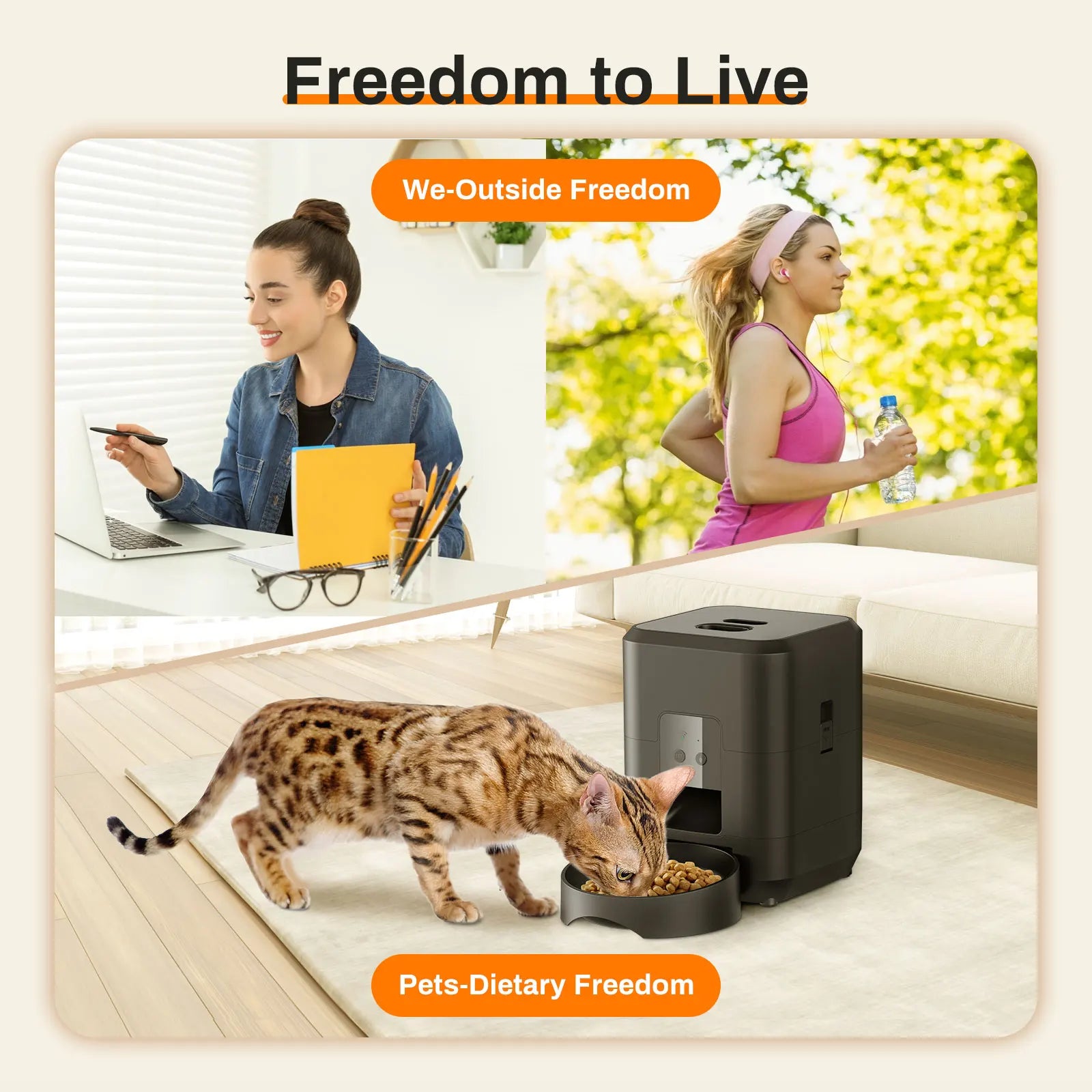 Automatic Pet Feeder | Standard & Wi-Fi Version 📱🐶🐱
