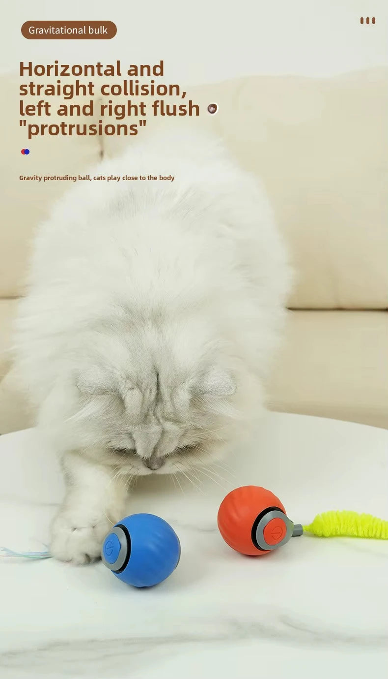 🐾 New Speedy Tail 2.0 Interactive Cat Toy – Smart Rolling Ball with Adjustable Speeds 🐾