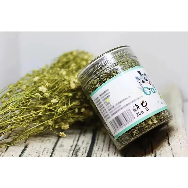 Premium Natural Catnip – Tiger & Rose Dried Catnip Herb 🌿🐱