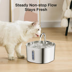 🐾 DIAUTOMATIC WATER SPENSER FOR CATS AND DOGS – 2.2L (STAINLESS STEEL, FILTER & SENSORS)