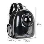 🐾 Crystal-Clear Pet Travel Backpack – Transparent Air-Flow Carrier 🎒✨