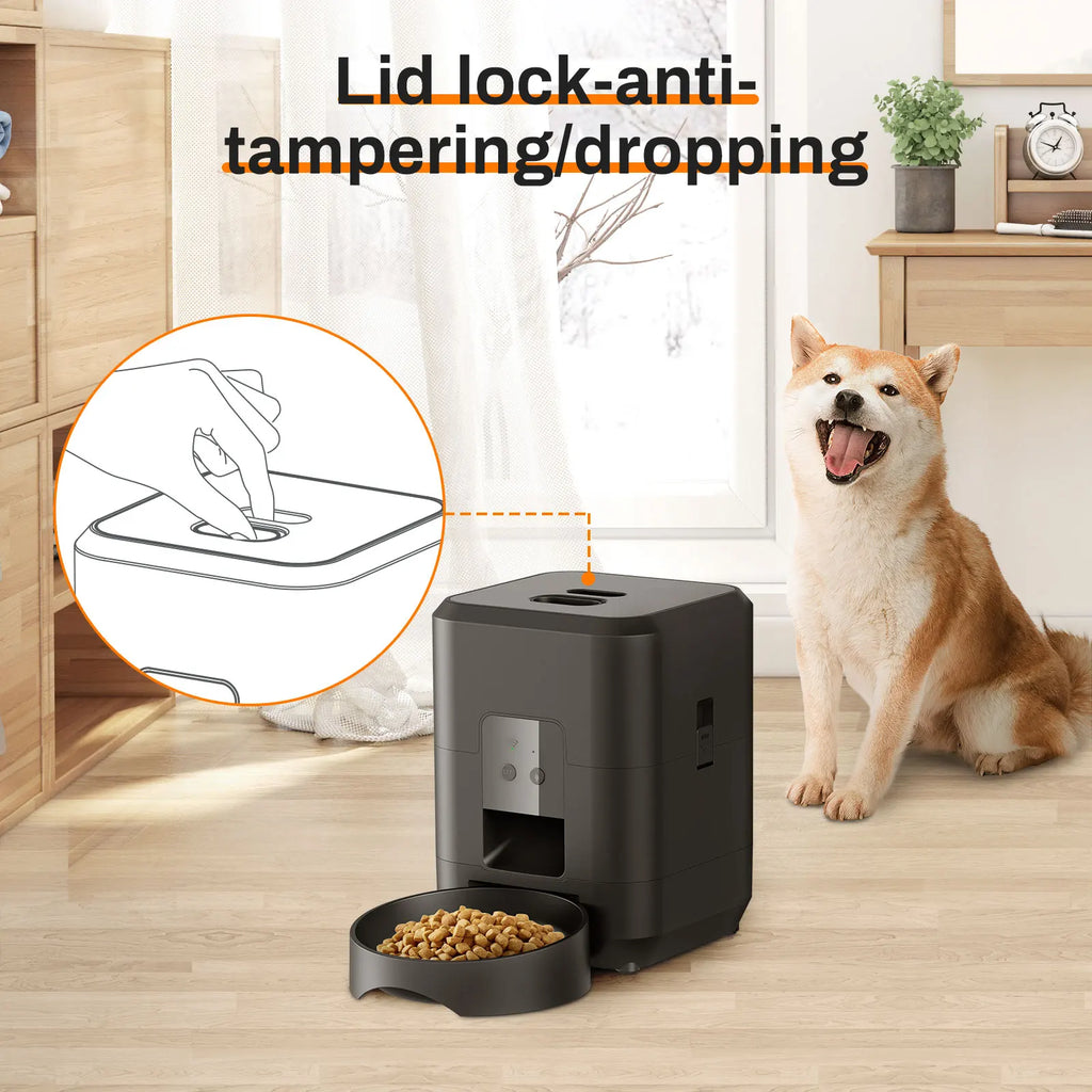 Automatic Pet Feeder | Standard & Wi-Fi Version 📱🐶🐱