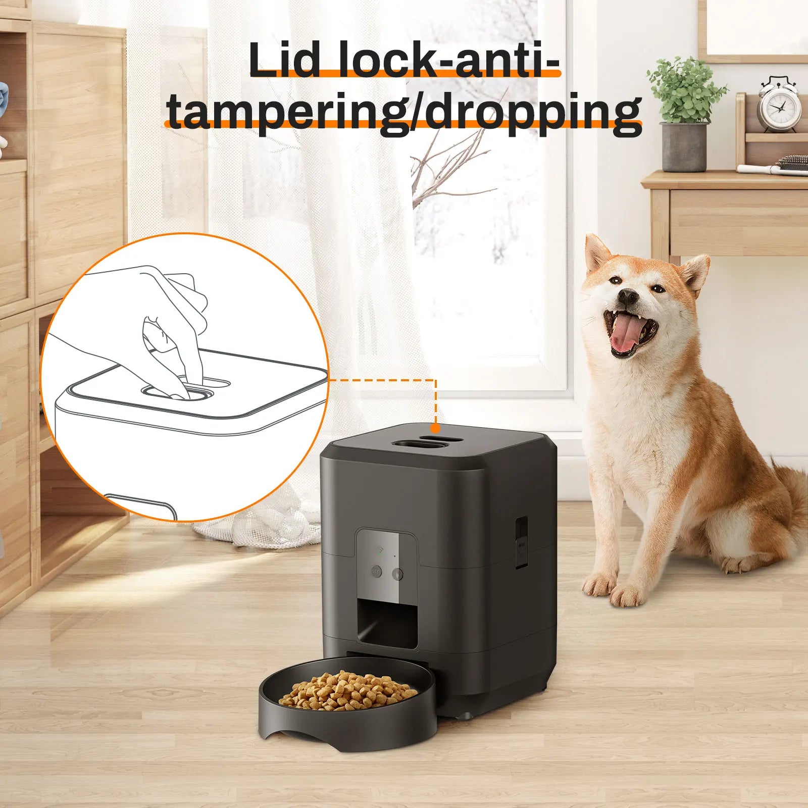 Automatic Pet Feeder | Standard & Wi-Fi Version 📱🐶🐱